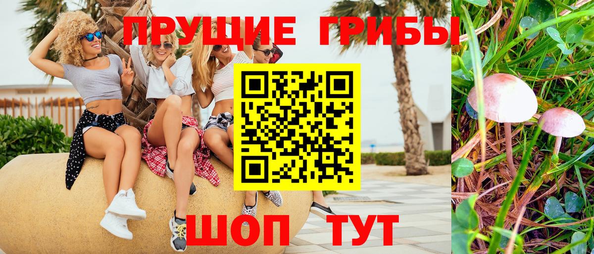 Галлюциногенные грибы GOLDEN TEACHER Полысаево
